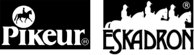 Eskadron Logo
