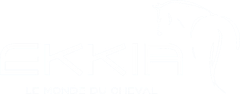 ekkia Logo