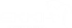 ekkia