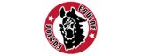 Equine Fusion Logo