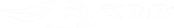 Flair Logo